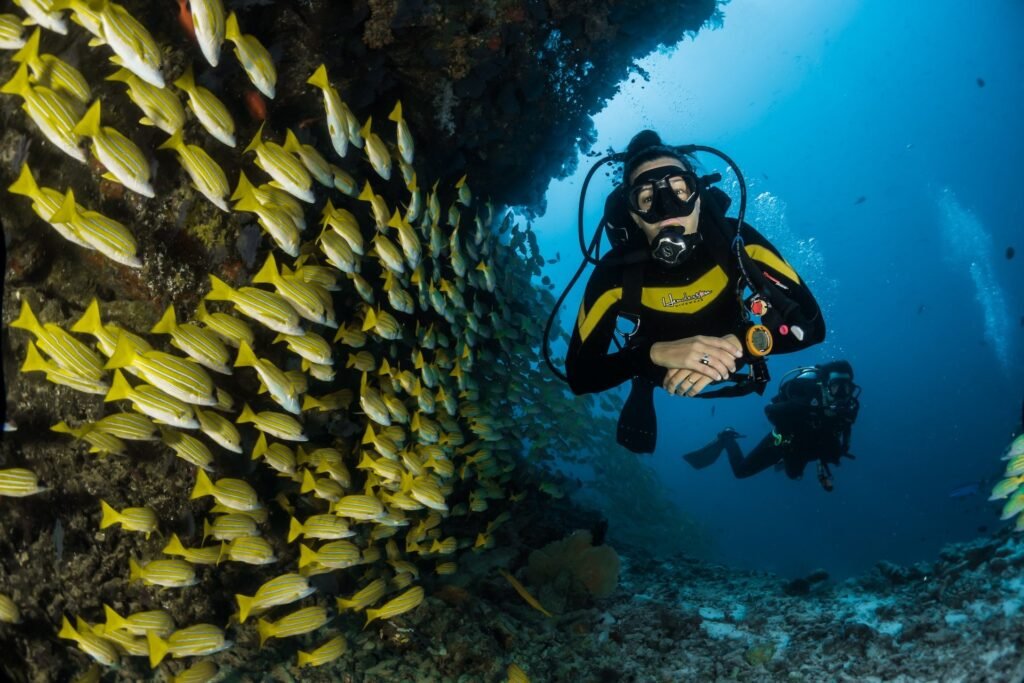 scuba diving in Andaman