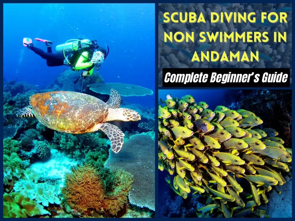 Scuba-Diving-For-Non-Swimmers-In-Andaman