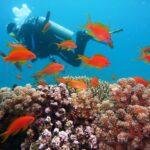 What are the three basic rules of Scuba?