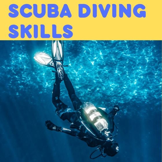 Scuba Diving Skills