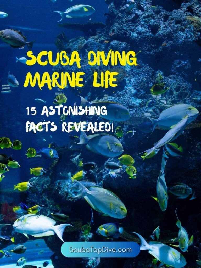 Unveiling the Secrets of Scuba Diving Marine Life: 15 Astonishing Facts Revealed!
