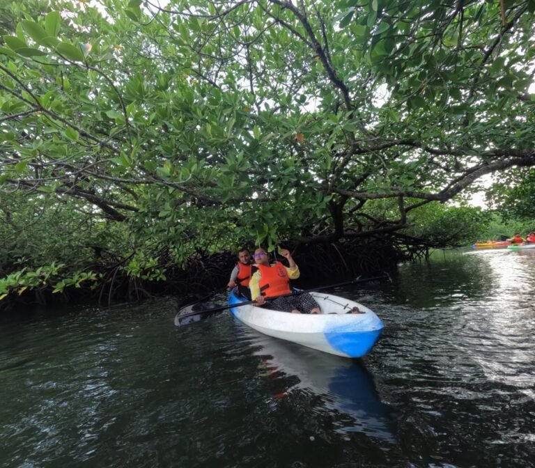 mangrove kayaking in havelock